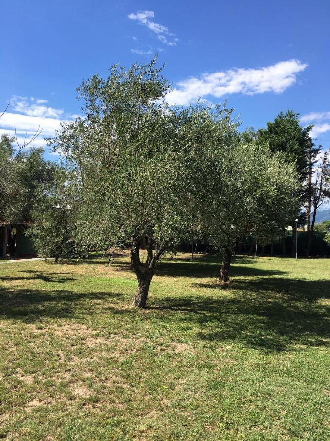 Fragolina Per Due Villa Лука Екстериор снимка