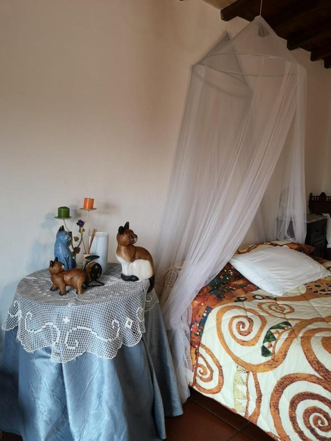 Fragolina Per Due Villa Лука Екстериор снимка