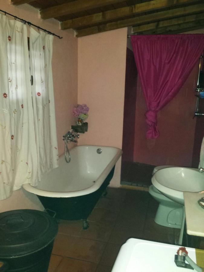 Fragolina Per Due Villa Лука Екстериор снимка